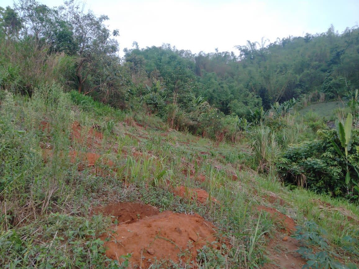 C:\Users\Lavinia Pde\Pictures\Camera Roll\IMG-20220713-WA0001.jpg